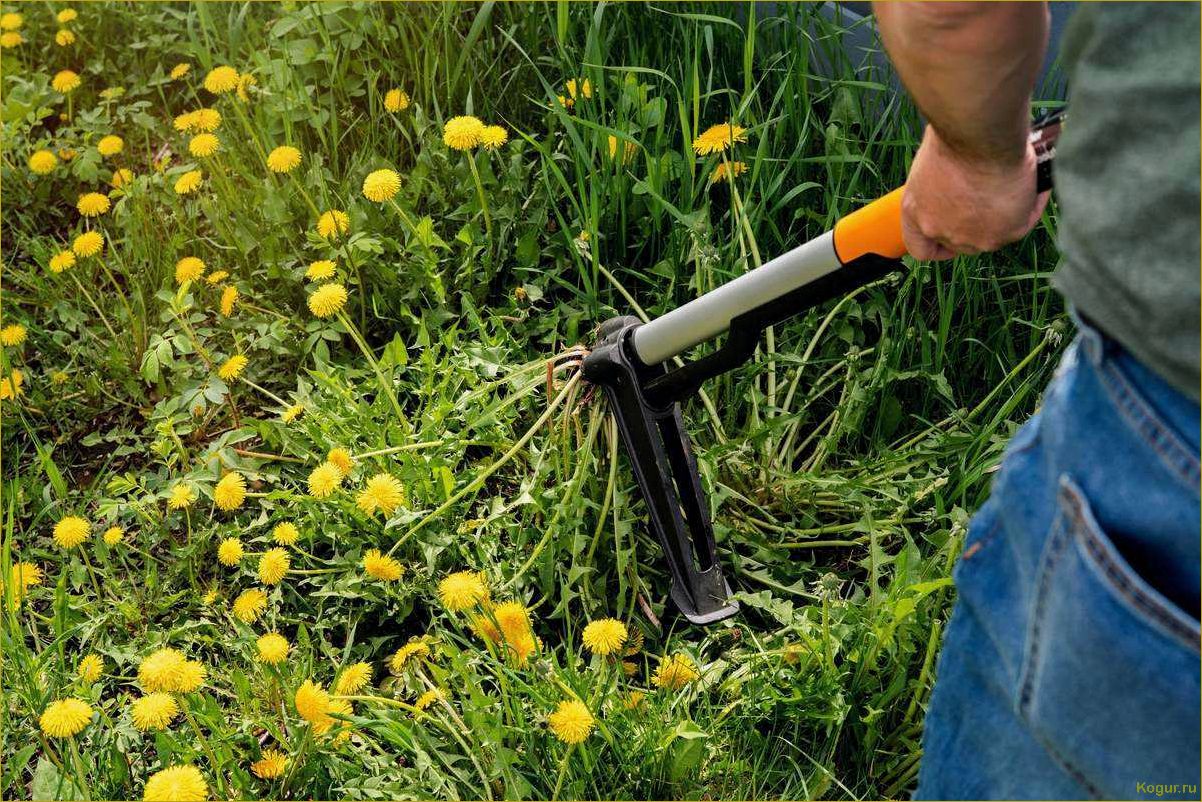 Как избавиться от травы во дворе и на огороде народными средствами