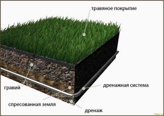 Как создать красивый газон на глинистой почве: советы и рекомендации