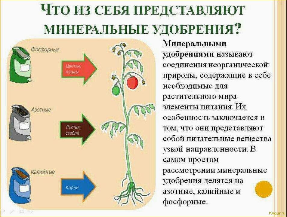 Как использовать вермикулит для растений и достичь отличных результатов