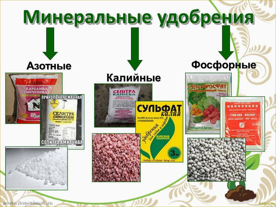 Как использовать вермикулит для растений и достичь отличных результатов