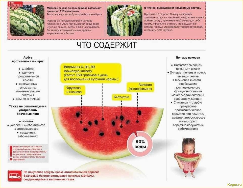 Какие болезни угрожают арбузам и как с ними бороться