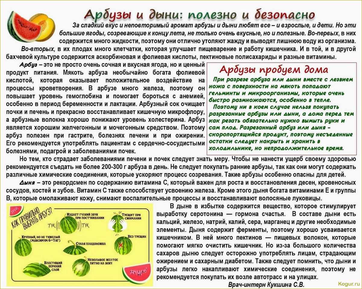 Какие болезни угрожают арбузам и как с ними бороться