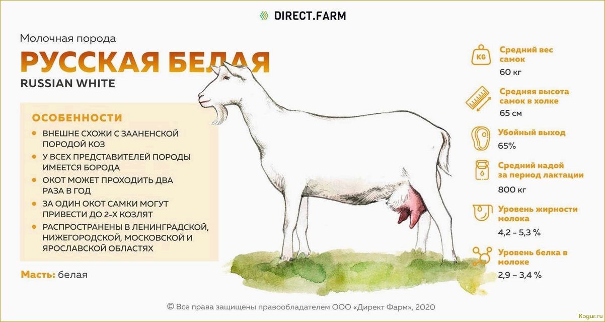 Как выбрать лучшее молоко: виды и сравнение