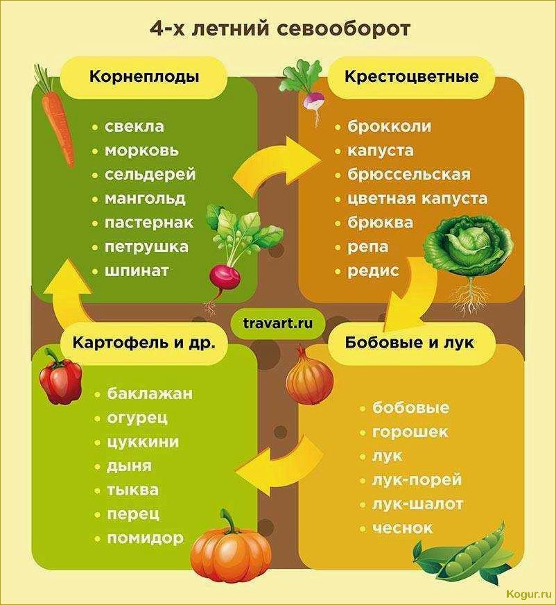 Мудрое использование сыворотки в саду и огороде для блага овощных культур