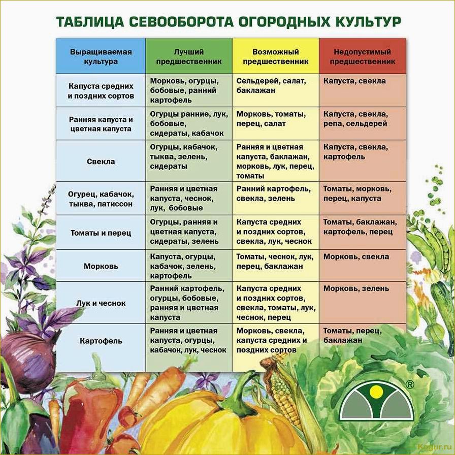 Мудрое использование сыворотки в саду и огороде для блага овощных культур