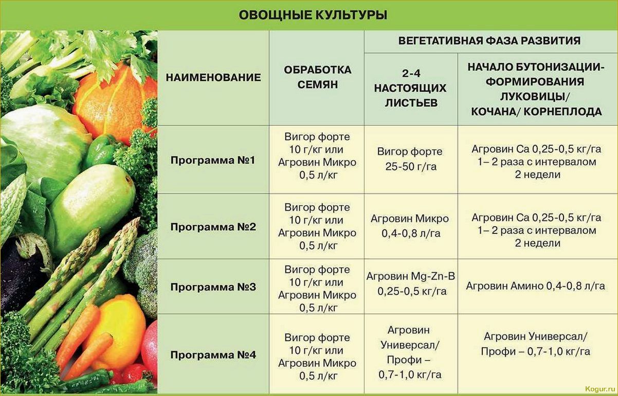 Мудрое использование сыворотки в саду и огороде для блага овощных культур