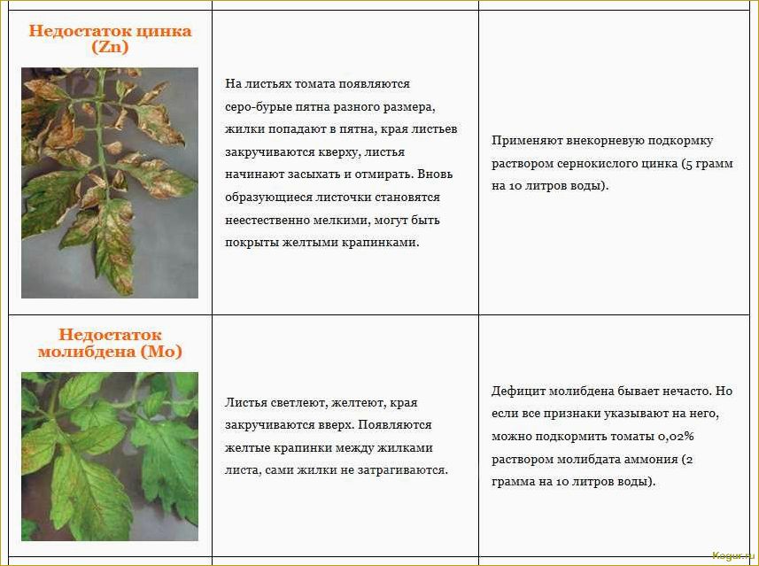 Почему перец сбрасывает листья и как помочь растению