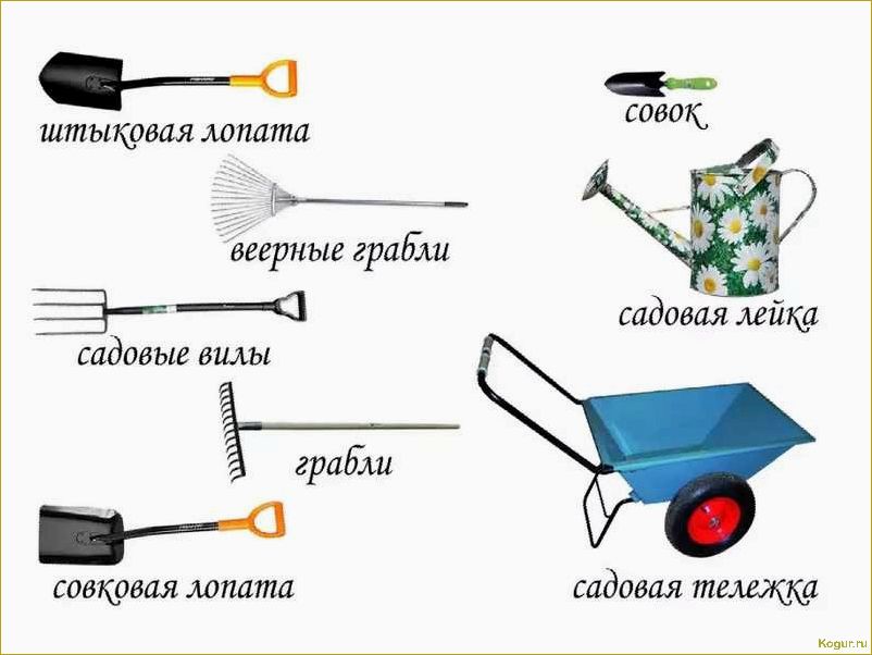 Снеговая лопата: назначение, характеристики, виды и выбор