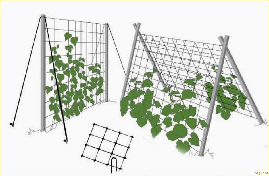 Виды и правила самостоятельного изготовления сетки шпалерной для огурцов