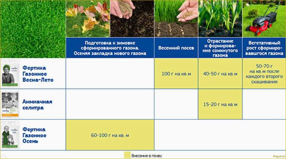 Как выбрать и использовать удобрение для создания красивого газона