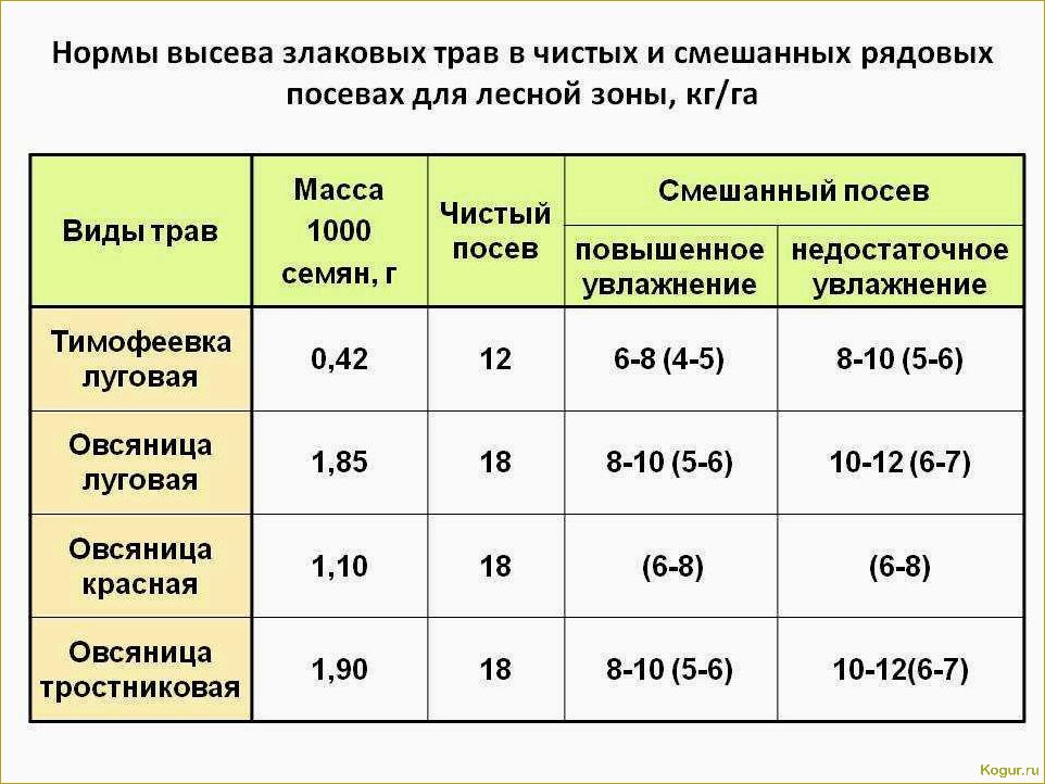 Как выбрать и использовать удобрение для создания красивого газона