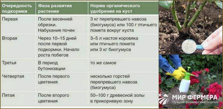 Как выбрать и использовать удобрение для создания красивого газона