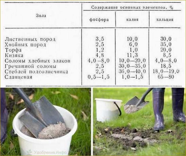 Как использовать костную муку в качестве удобрения без вреда для растений