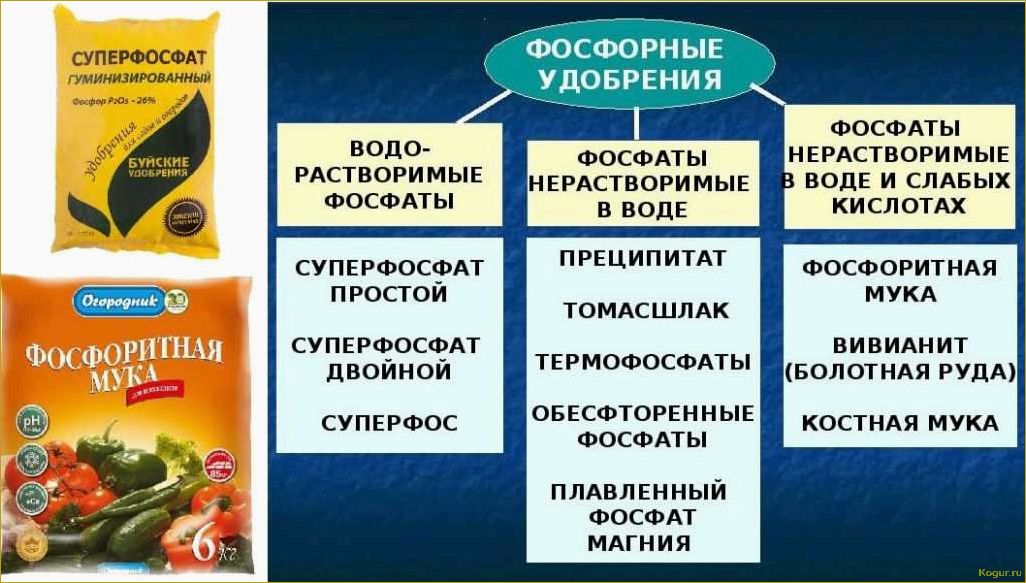 Как использовать костную муку в качестве удобрения без вреда для растений