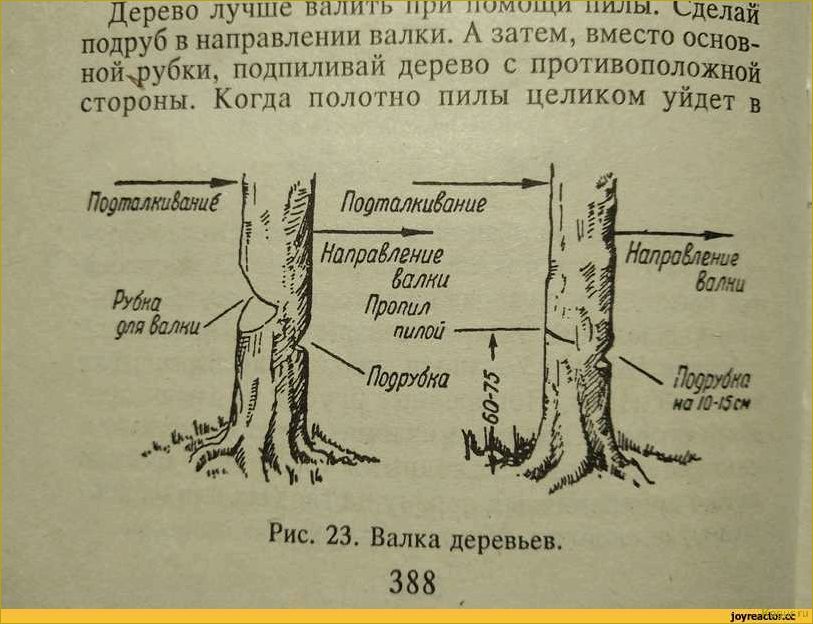 Как правильно ухаживать за бензопилой, чтобы она не выходила из строя?