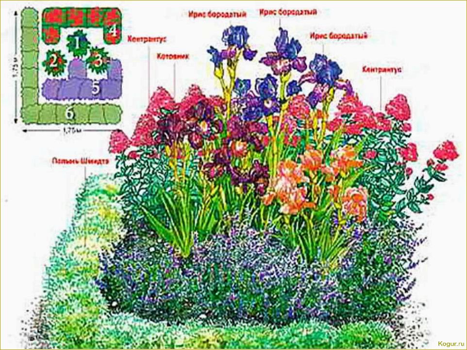 Как создать клумбу из многолетников для начинающих: советы и рекомендации