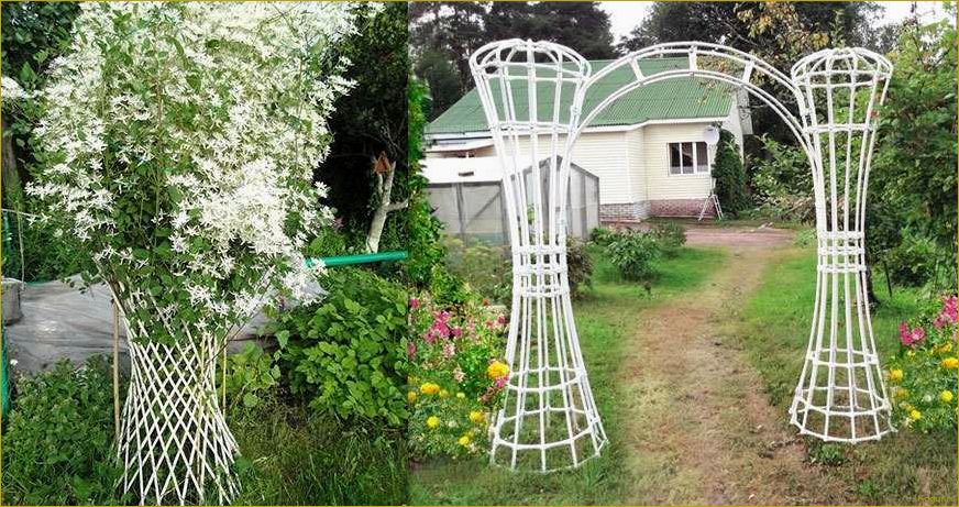 Создание красоты в саду: как самостоятельно создать опоры для вьющихся растений
