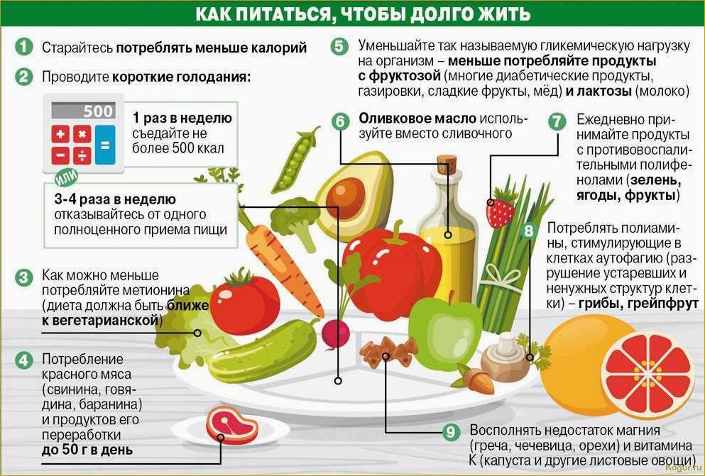 Польза свеклы для здоровья человека при регулярном потреблении