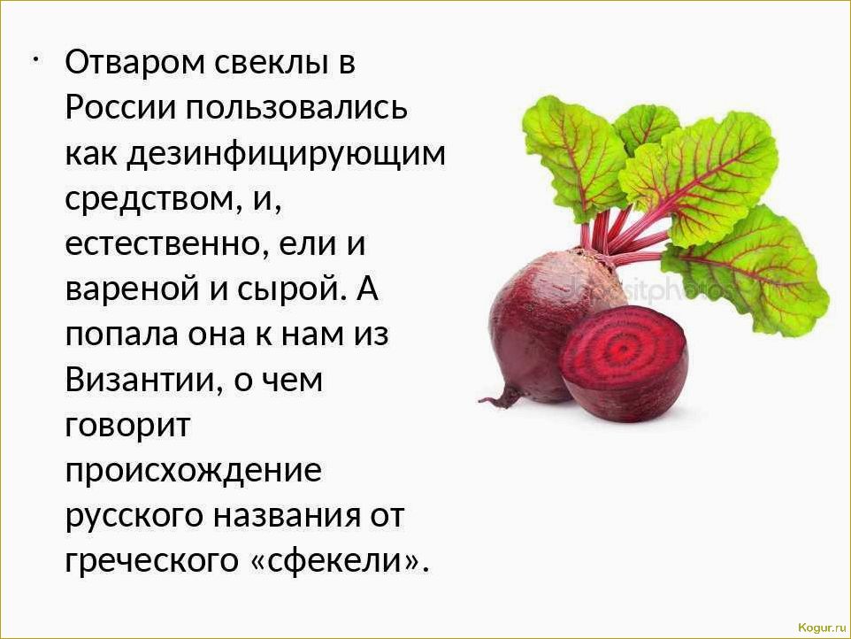 Польза свеклы для здоровья человека при регулярном потреблении