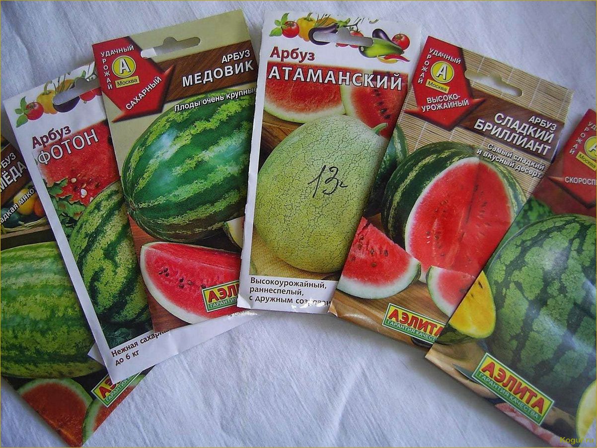 Популярные производители лучших сортовых семян в России