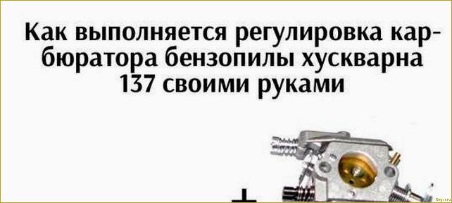 Регулировка и чистка карбюратора бензопилы своими руками: пошаговая инструкция