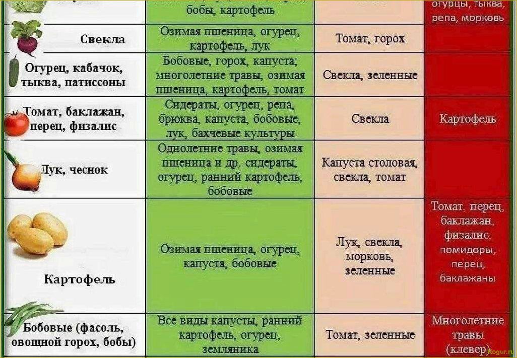 Как использование сидератов может улучшить наши грядки для выращивания томатов