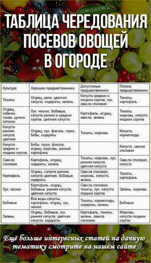 Как использование сидератов может улучшить наши грядки для выращивания томатов