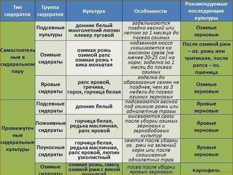 Как использование сидератов может улучшить наши грядки для выращивания томатов