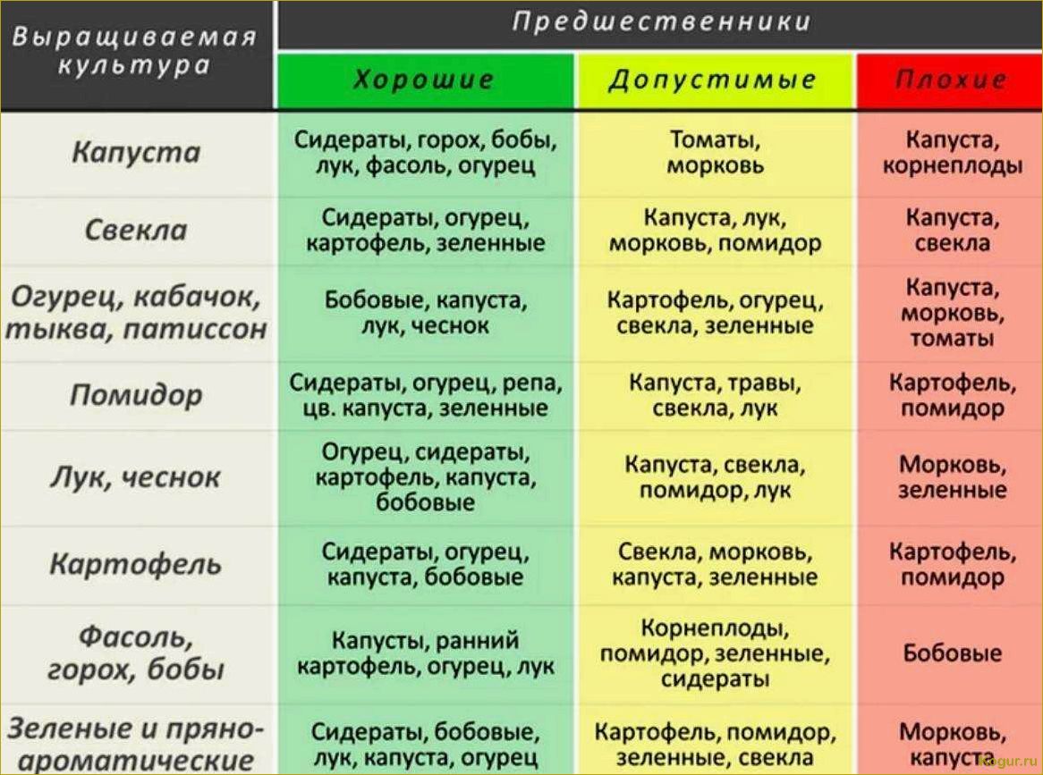 Как использование сидератов может улучшить наши грядки для выращивания томатов