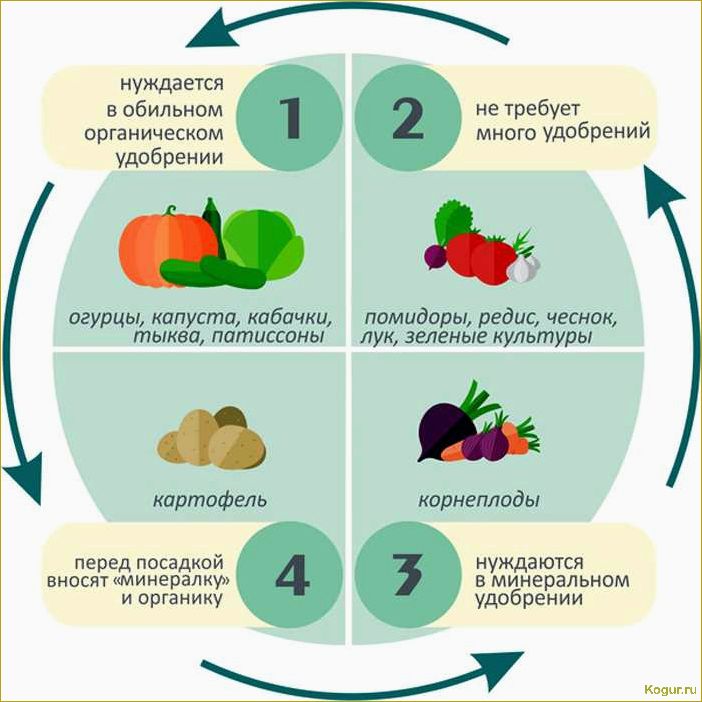 Как использование сидератов может улучшить наши грядки для выращивания томатов