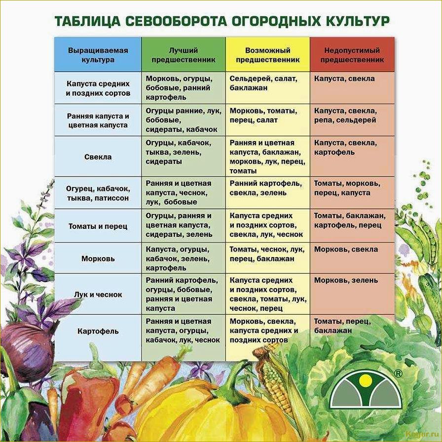 Как использование сидератов может улучшить наши грядки для выращивания томатов