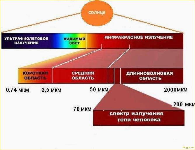 Инфракрасный обогреватель: вреден или полезен?