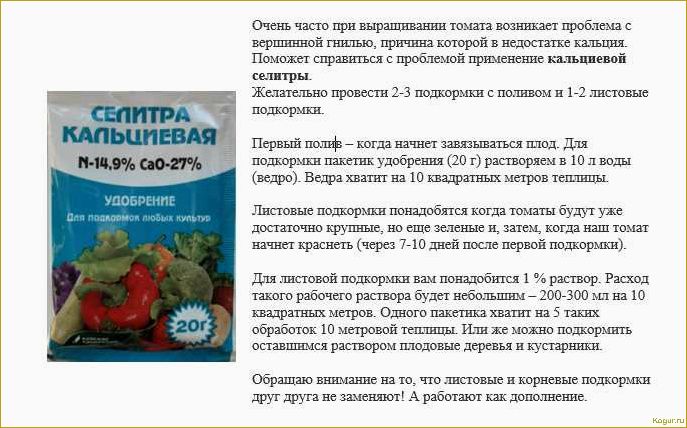 Как победить фитофтору в теплице: эффективная стратегия против незаметного врага