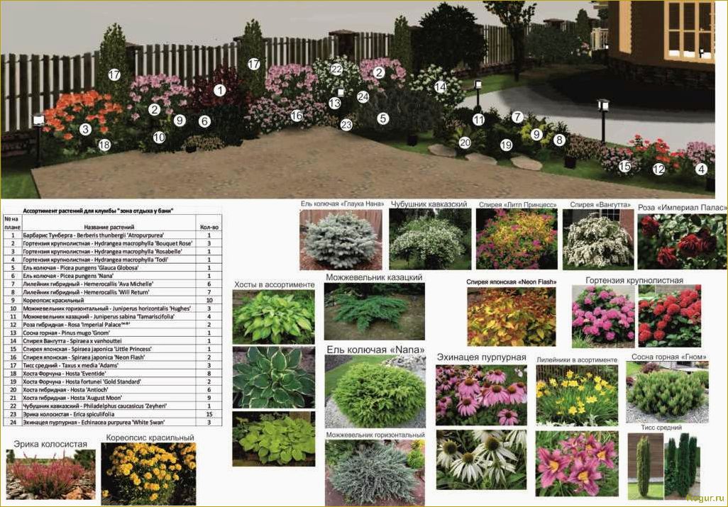 Как создать клумбу непрерывного цветения: особенности посадки и выращивания