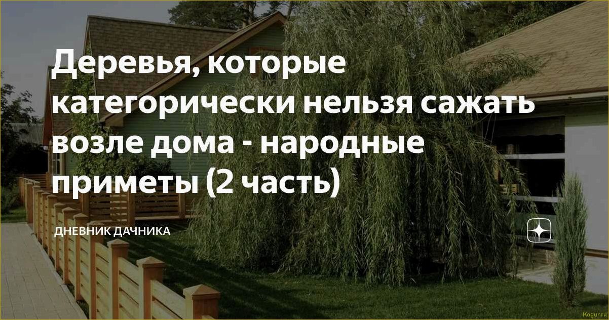 Какие деревья сажали в старину около дома по народным приметам