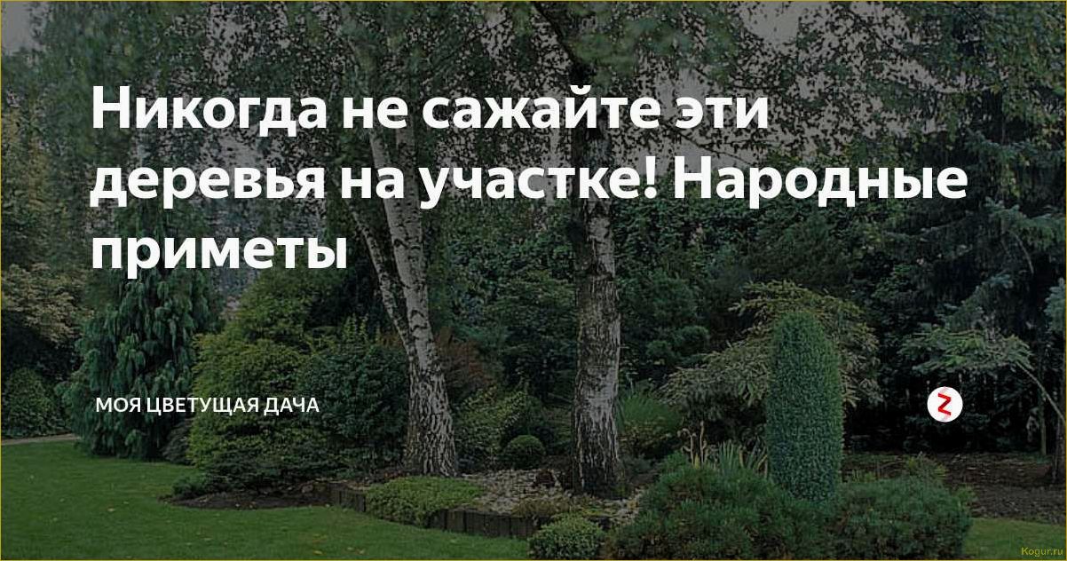 Какие деревья сажали в старину около дома по народным приметам