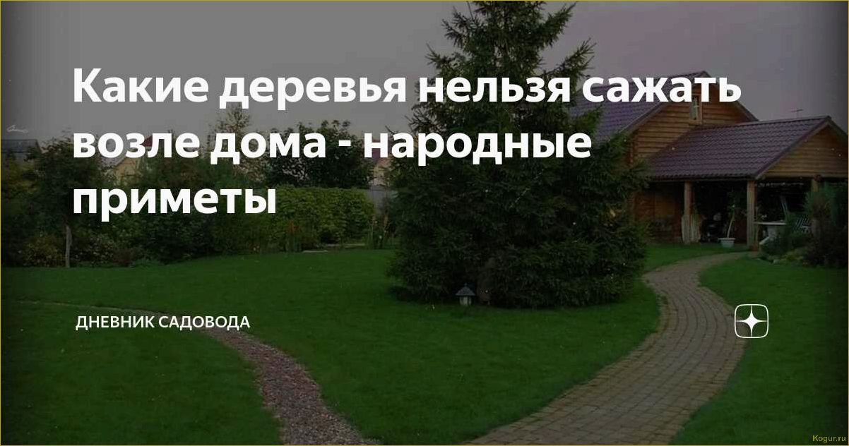 Какие деревья сажали в старину около дома по народным приметам