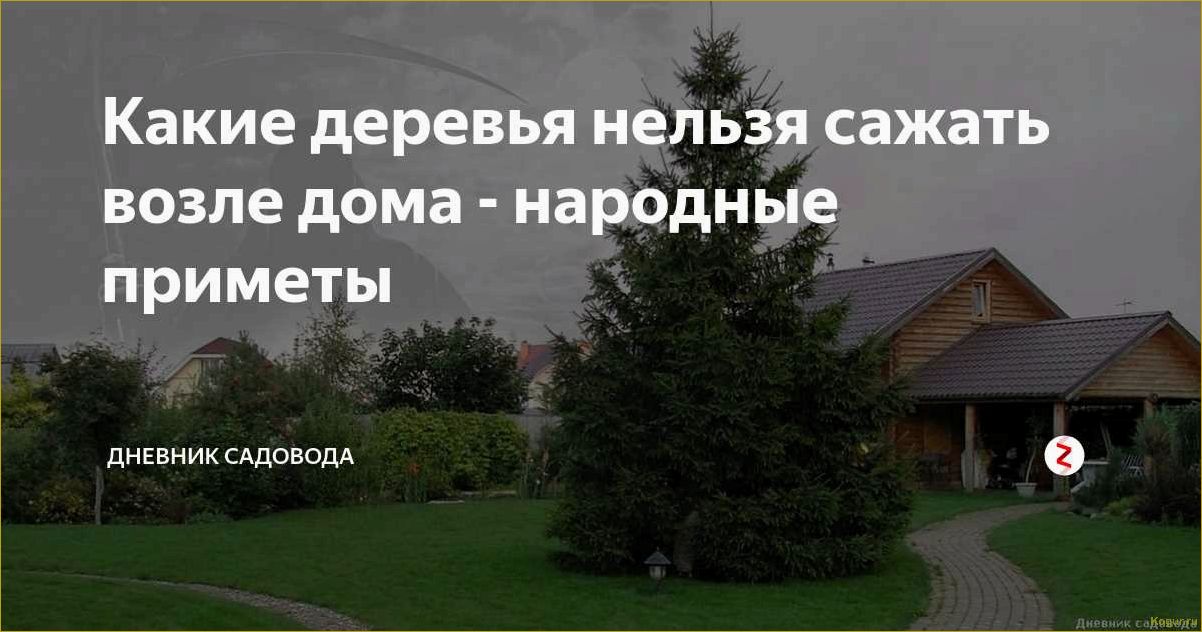 Какие деревья сажали в старину около дома по народным приметам