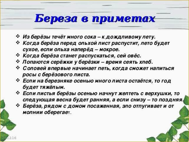 Какие деревья сажали в старину около дома по народным приметам