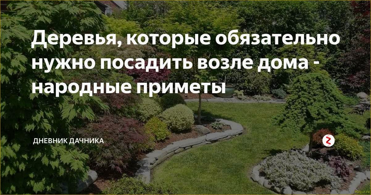 Какие деревья сажали в старину около дома по народным приметам