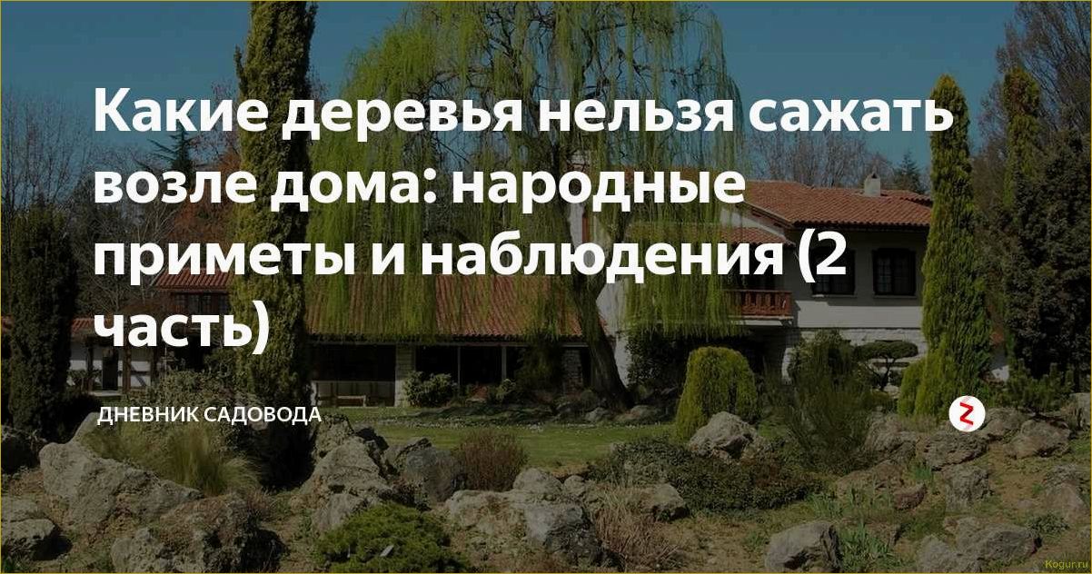 Какие деревья сажали в старину около дома по народным приметам