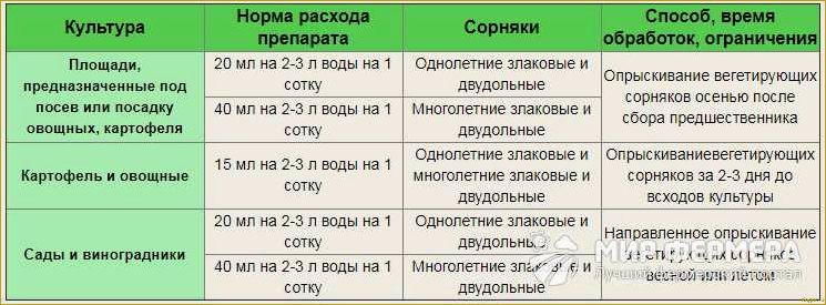 «Как использовать чудо-препарат Этамон для максимальной эффективности: подробная инструкция»