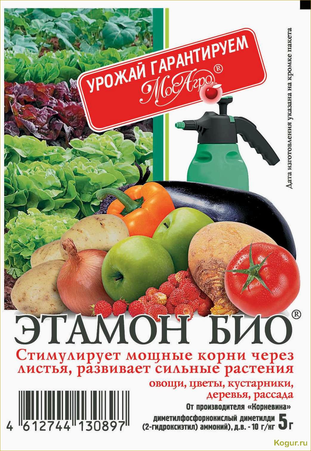 «Как использовать чудо-препарат Этамон для максимальной эффективности: подробная инструкция»