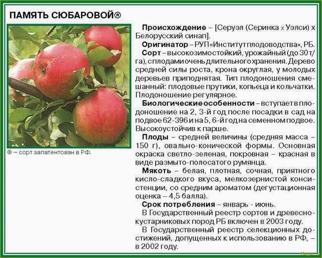 Введение в мир груш сорта Лада раннего созревания: подробное описание и рекомендации