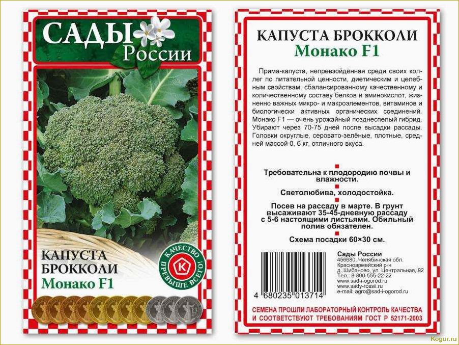 Секреты успешного выращивания и ухода за капустой брокколи