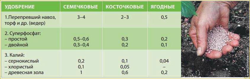 Как использовать двойной суперфосфат в саду и огороде