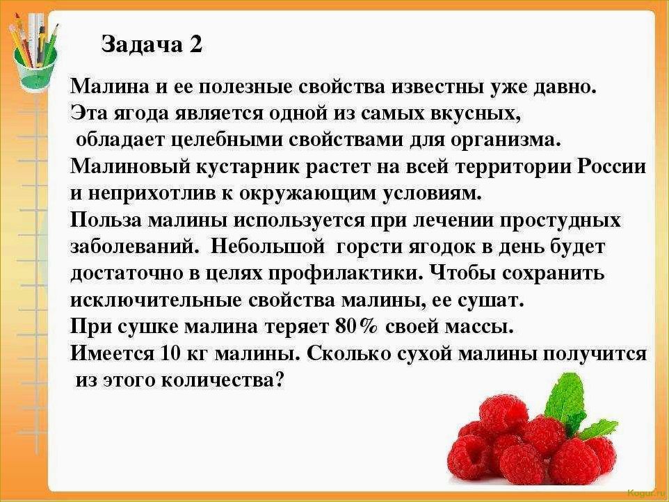 Малина Краса России на дачной грядке для употребления в свежем виде и приготовления варенья