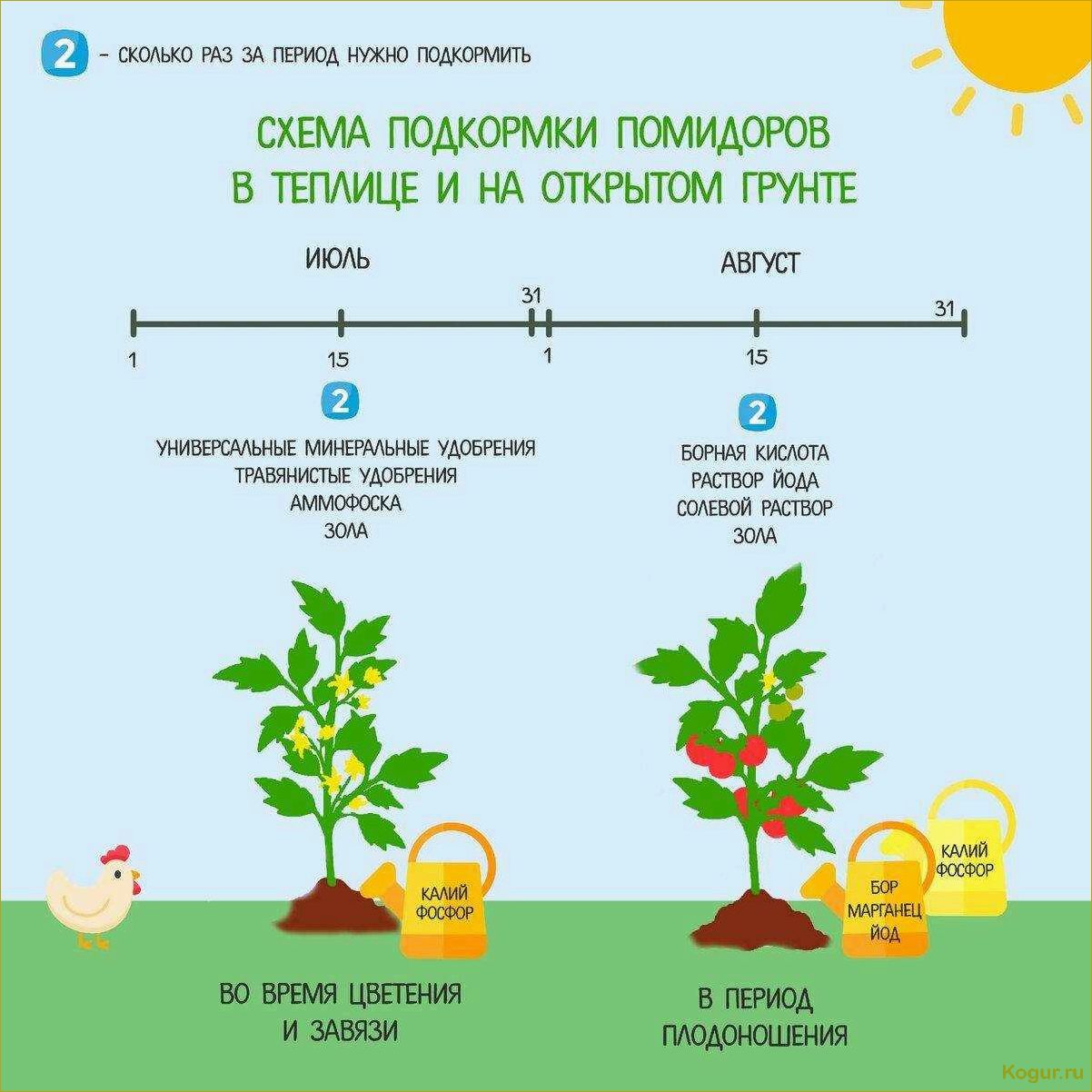 Опыление томатов в теплице — эффективные способы для увеличения завязей