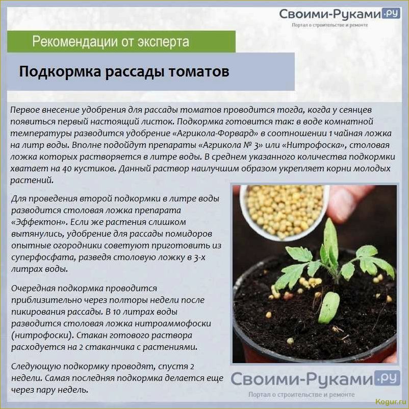 Почва с опилками для рассады томатов — способы приготовления и польза питательного субстрата