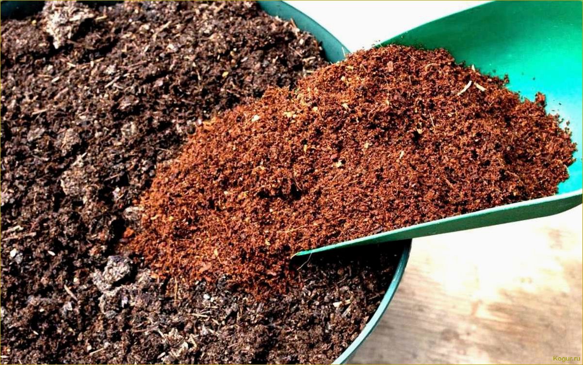 Почва с опилками для рассады томатов — способы приготовления и польза питательного субстрата
